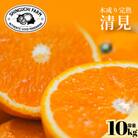 【太陽の恵みをギュッと凝縮】清見 10kg 愛媛県産【G70-15】