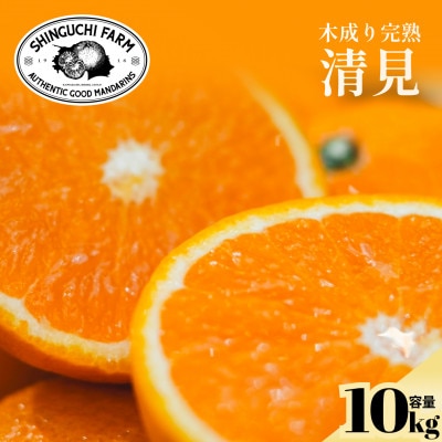 【太陽の恵みをギュッと凝縮】清見 10kg 愛媛県産【G70-15】