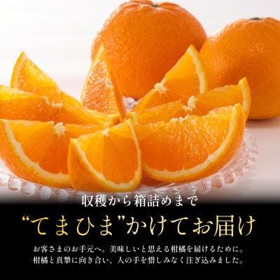 【産地直送】五代目が厳選した清見 10kg 愛媛県産【G70-15】