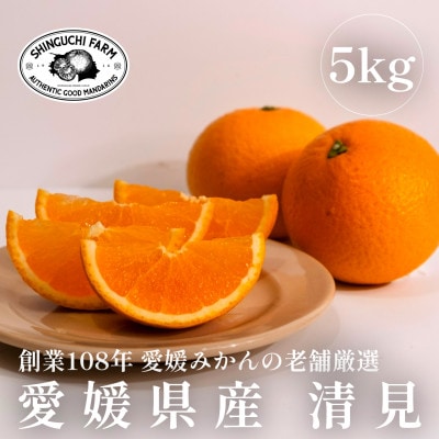 【創業108年】愛媛みかんの老舗厳選【清見 5kg】【C70-14】
