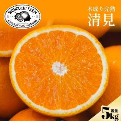 【太陽の恵みをギュッと凝縮】清見 5kg 愛媛県産【D70-14】