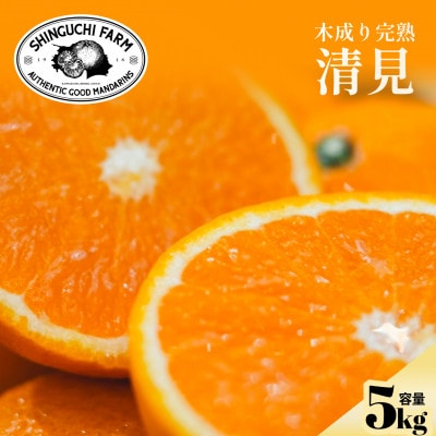 【太陽の恵みをギュッと凝縮】清見 5kg 愛媛県産【D70-14】