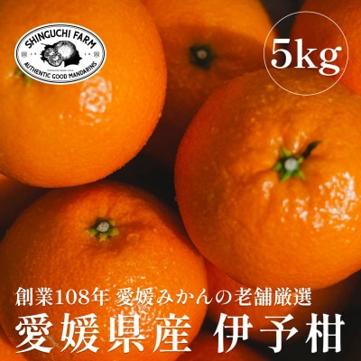創業百八年 愛媛みかんの老舗【伊予柑5kg】【新口農園厳選】【C70-12】