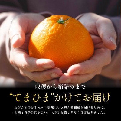 【太陽の恵みをギュッと凝縮】伊予柑5kg 愛媛県産【D70-12】
