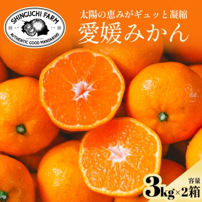 【太陽の旨みがギュッと凝縮】愛媛みかん3kg×2箱 農家直送 愛媛県川上産【D70-32】