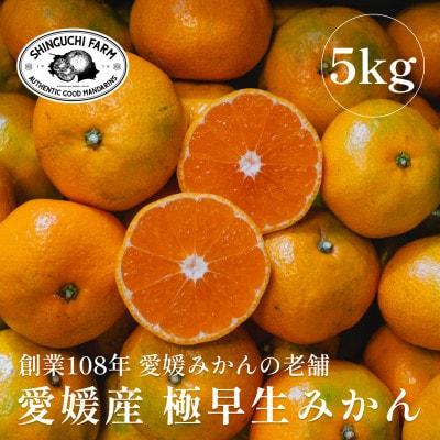 創業百八年 愛媛みかんの老舗【極早生みかん5kg】愛媛県川上産【新口農園】【C70-34】