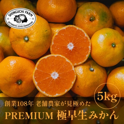 老舗農家が見極めたプレミアム【極早生みかん5kg】愛媛県川上産【C70-34】