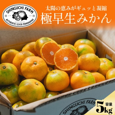【先行受付】五代目が厳選した【極早生みかん5kg】愛媛県川上産【C70-34】