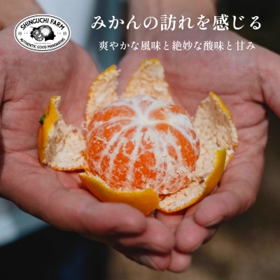 創業百八年 愛媛みかんの老舗【極早生みかん5kg】愛媛県川上産【新口農園】【C70-34】