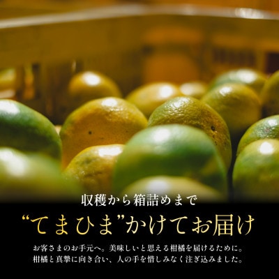 【先行受付】五代目が厳選した【極早生みかん5kg】愛媛県川上産【C70-34】