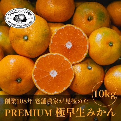 老舗農家が見極めたプレミアム【極早生みかん10kg】愛媛県川上産【E70-35】