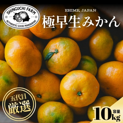【朝採り直送】五代目が厳選!極早生みかん 10kg 愛媛県 新口農園【E70-35】