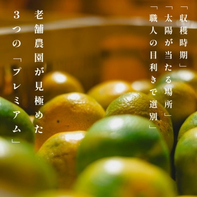老舗農家が見極めたプレミアム【極早生みかん10kg】愛媛県川上産【E70-35】