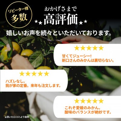 【朝採り直送】五代目が厳選!極早生みかん 10kg 愛媛県 新口農園【E70-35】
