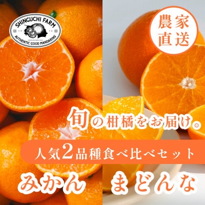 2025年発送 愛媛みかん旬の食べ比べ みかん2kg・まどんな2kg【C70-36】