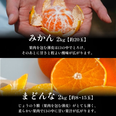 みかん+まどんな 人気2品種食べ比べ 【各2kg】【D70-36】
