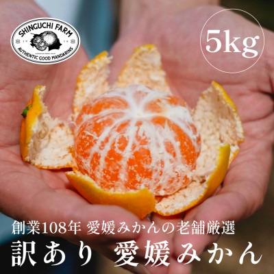 紅プリンセスと同品種】甘平×まどんな 媛果プリンセス【3kg