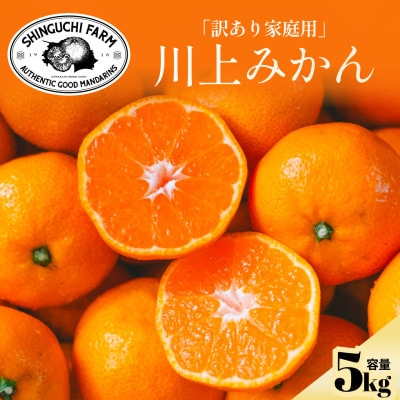 【天皇杯受賞産地】川上みかん5kg【訳あり】愛媛県八幡浜市【C70-37】