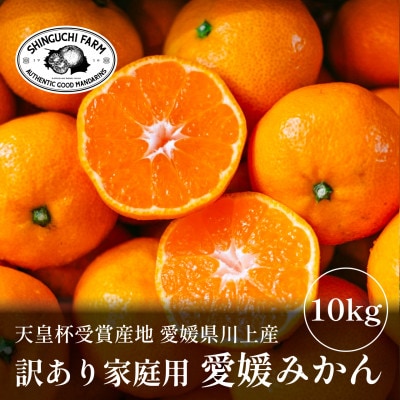 【天皇杯受賞産地】愛媛県川上産 みかん10kg【訳あり】【D70-38】
