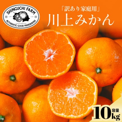 【天皇杯受賞産地】川上みかん10kg【訳あり】愛媛県八幡浜市【D70-38】
