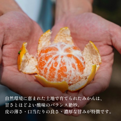 【天皇杯受賞産地】愛媛県川上産 みかん10kg【訳あり】【D70-38】