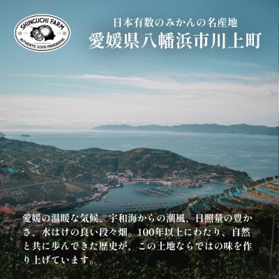 【天皇杯受賞産地】愛媛県川上産 みかん10kg【訳あり】【D70-38】