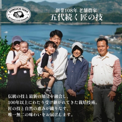 【天皇杯受賞産地】愛媛県川上産 みかん10kg【訳あり】【D70-38】