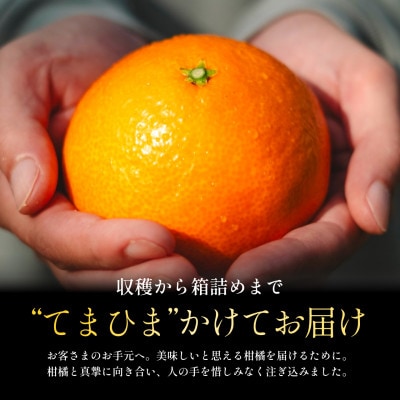 【紅まどんなと同品種】老舗農家が見極めたプレミアム【贈答用】まどんな3kg【F70-44】