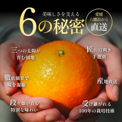 【完熟限定】五代目が厳選!プレミアムまどんな 3kg【贈答用】【紅まどんなと同品種】【F70-44】