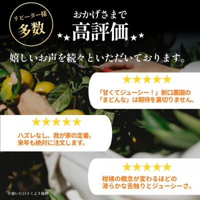 【完熟限定】五代目が厳選!プレミアムまどんな 3kg【贈答用】【紅まどんなと同品種】【F70-44】