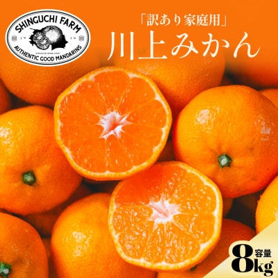 【天皇杯受賞産地】川上みかん8kg【訳あり】愛媛県八幡浜市【C70-55】