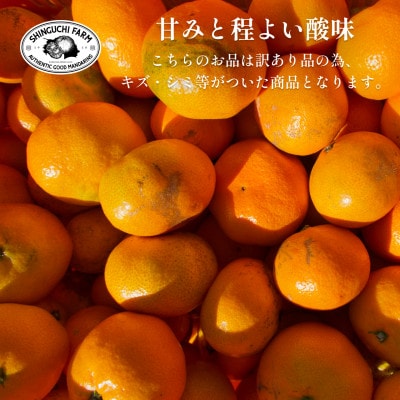【創業108年】愛媛みかんの老舗【訳あり みかん8kg】新口農園【C70-55】