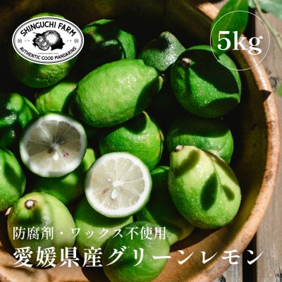 【皮ごと食べられる】愛媛育ちのグリーンレモン 5kg 防腐剤・ワックス不使用【D70-48】