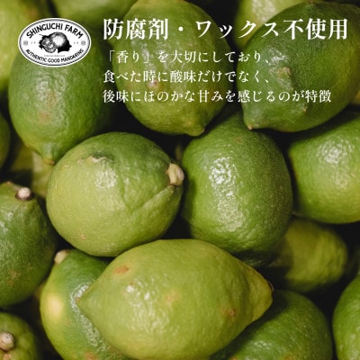 【皮ごと食べられる】愛媛育ちのグリーンレモン 5kg 防腐剤・ワックス不使用【D70-48】