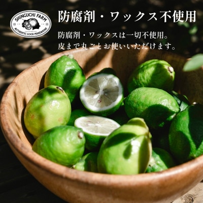 【皮ごと食べられる】瀬戸内グリーンレモン 5kg 防腐剤・ワックス不使用【D70-48】