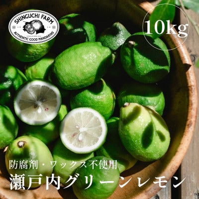 【皮ごと食べられる】瀬戸内グリーンレモン 10kg 防腐剤・ワックス不使用【H70-49】