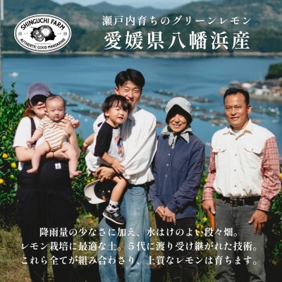 【皮ごと食べられる】瀬戸内グリーンレモン 10kg 防腐剤・ワックス不使用【H70-49】
