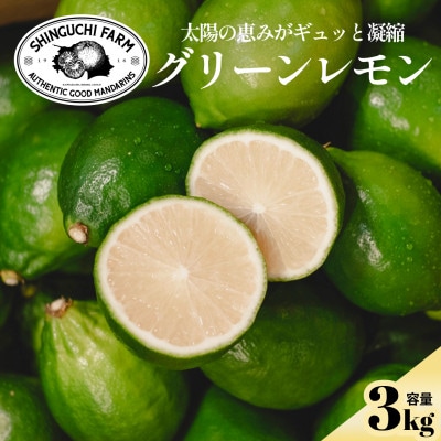 【皮が薄くて種がない】愛媛グリーンレモン 3kg 愛媛県産【C70-50】