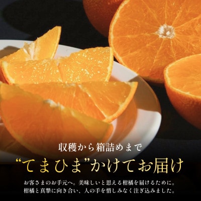 【完熟限定】五代目が厳選した「完熟」まどんな 5kg【紅まどんな と同品種】【G70-56】