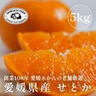 【2026年2月発送】柑橘の大トロ【せとか5kg(約15個～30個)】家庭用【F70-57】