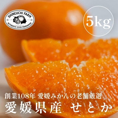 【2026年2月発送】柑橘の大トロ【せとか5kg(約15個～30個)】家庭用【F70-57】