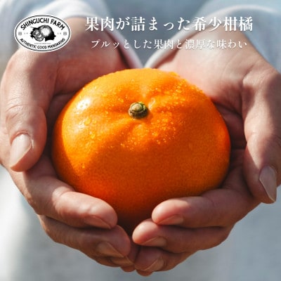 【2026年2月発送】柑橘の大トロ【せとか5kg(約15個～30個)】家庭用【F70-57】
