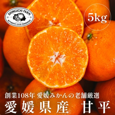 創業百八年 愛媛みかんの老舗【甘平5kg(約15個〜30個)】家庭用【新口農園】【F70-58】