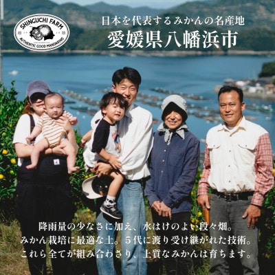 創業百八年 愛媛みかんの老舗【甘平5kg(約15個〜30個)】家庭用【新口農園】【F70-58】