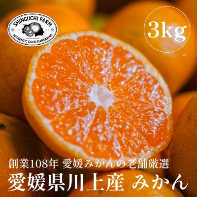 愛媛みかんの老舗厳選【愛媛県川上産 みかん 3kg(約30玉)】新口農園【C70-59】