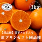 《新品種》「甘平×まどんな」　愛果48号〈紅プリンセスと同品種〉【3kg】【家庭用】【E70-63】
