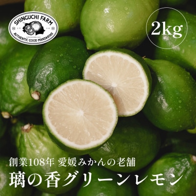 【皮が薄くて種が少ない】璃の香グリーンレモン 2kg 愛媛県産【A70-67】