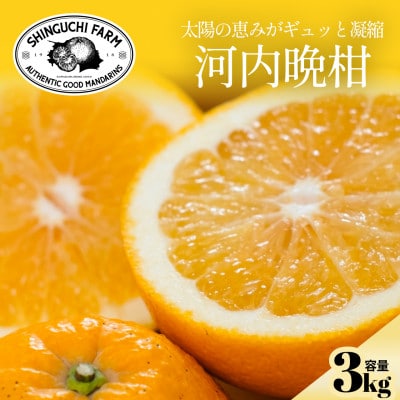 【太陽の恵みをギュッと凝縮】河内晩柑 3kg 愛媛県産【C70-70】