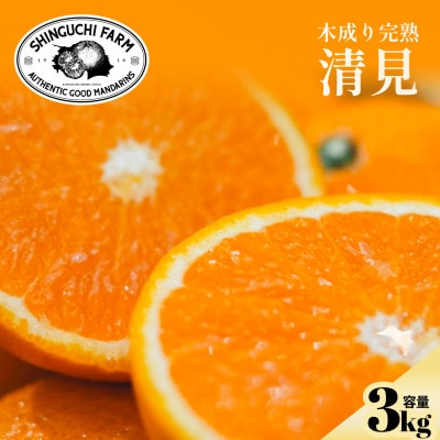 【太陽の恵みをギュッと凝縮】清見 3kg 愛媛県産【C70-71】