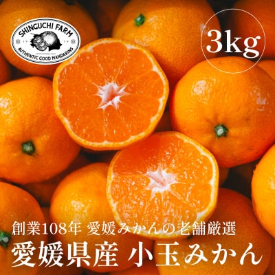 愛媛みかんの老舗厳選【小玉 みかん3kg】【C70-73】